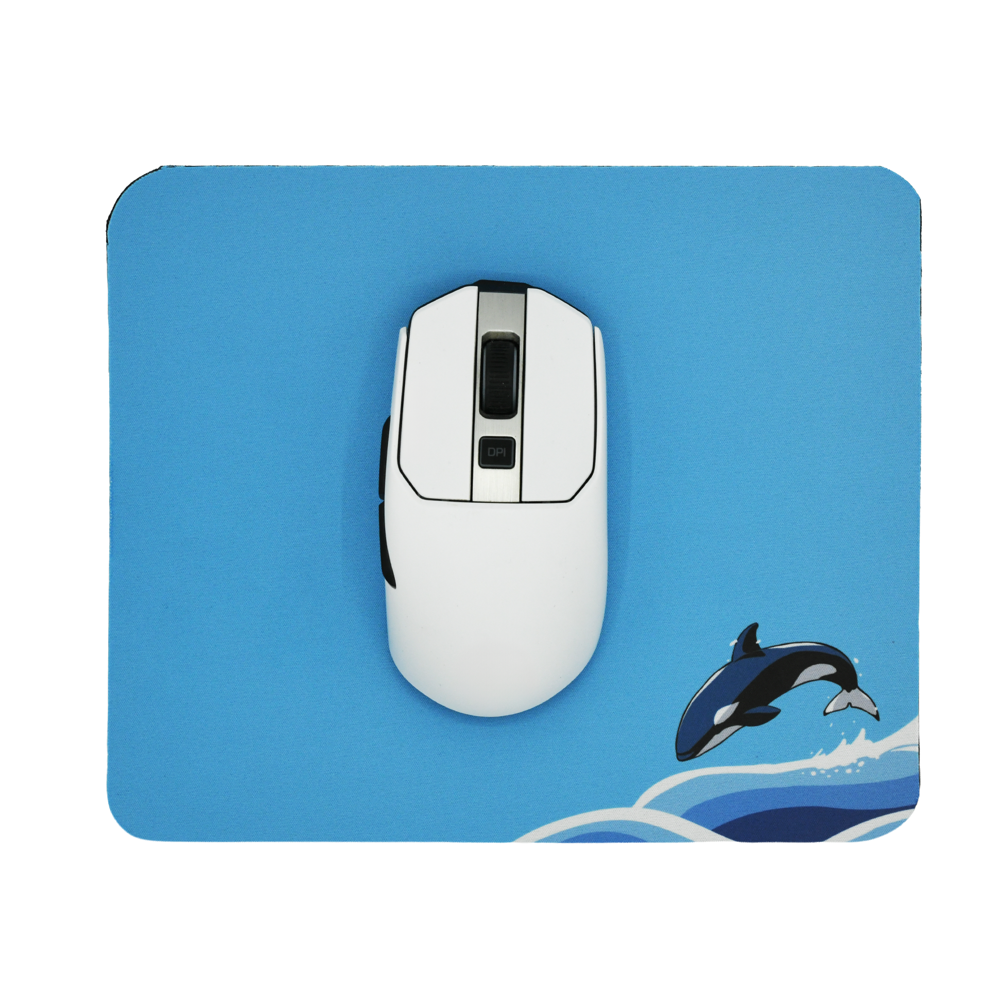 GNM-501 Sサイズ ORCAPAD ※送料無料 – CLIVE.Lab